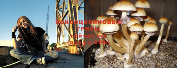 не бодяженный Липки
