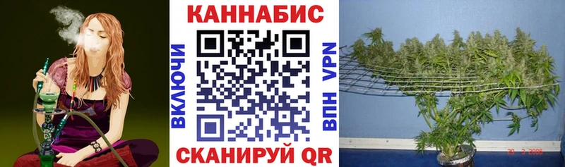Бошки марихуана MAZAR  Купить  Кологрив 